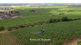 Yvan ARCHENAULT - Yvan ARCHENAULT Photographe