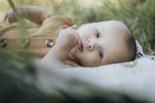 Sébastien NIGGLI - DARKCUBE