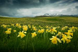 Jérémy DUCROT - BOUGNAT PHOTOS