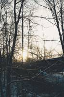 Everly MBOYA LOUBASSOU - The pictures by everly